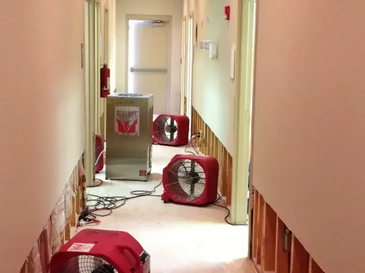 Red air movers and a dehumidifier in a hallway with the lower wall cut open