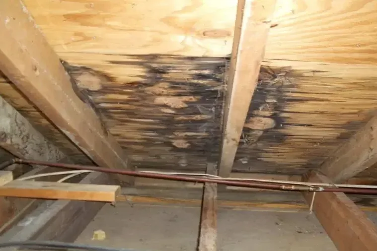Water stains spreading across attic roof decking from a roof leak